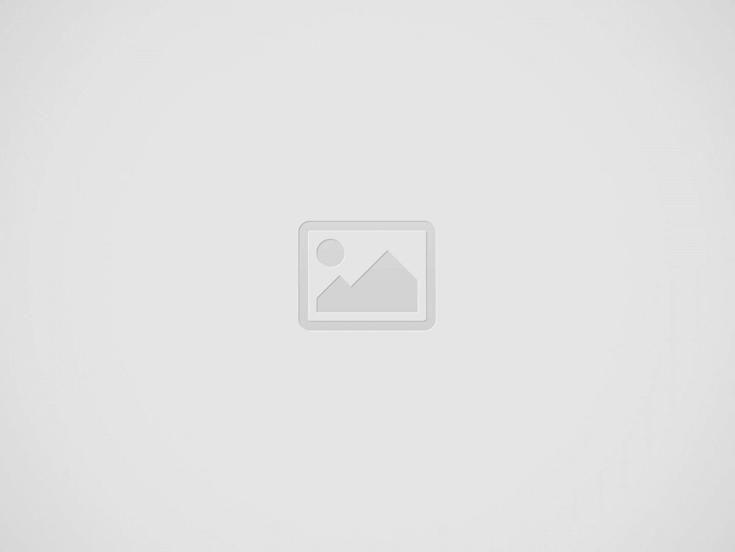 ニホンミツバチ養蜂を始めたら自分に起きた変化