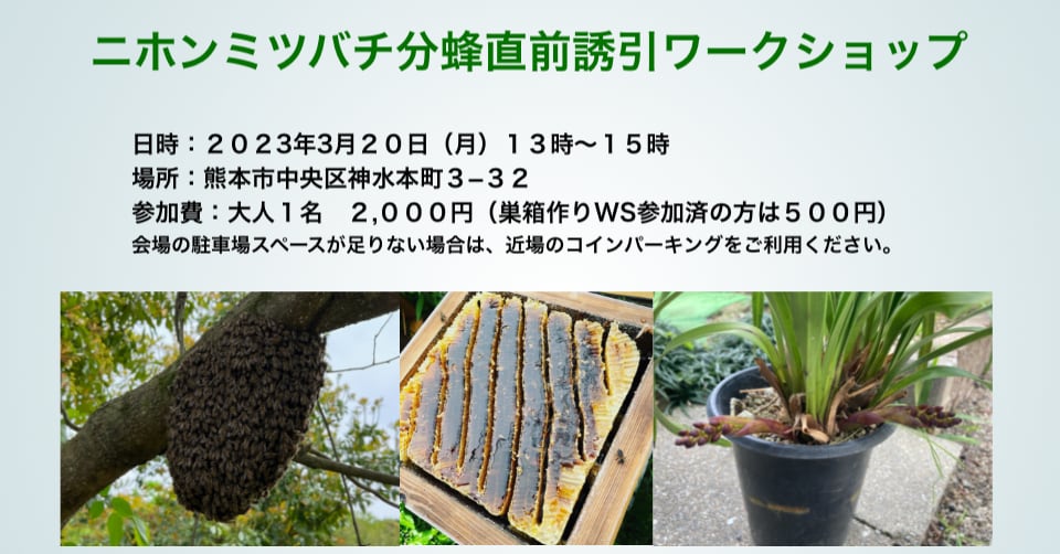 ニホンミツバチ分蜂直前誘引ワークショップ　in 熊本 ２０２３年３月２０日開催