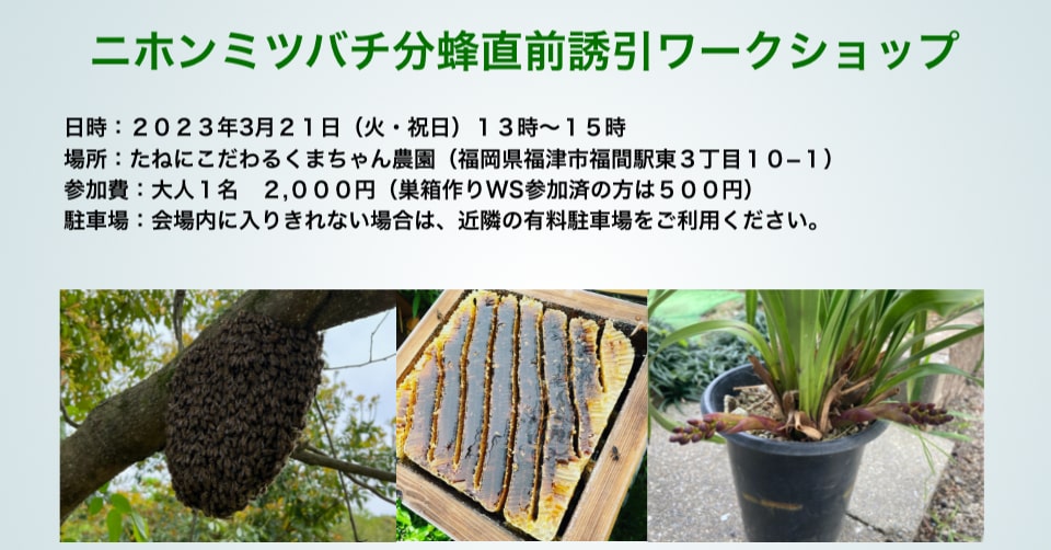 ニホンミツバチ分蜂直前誘引ワークショップ　in 福津　２０２３年３月２１日（火・祝日）開催
