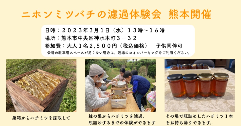 ニホンミツバチのハチミツ沪過体験会　 熊本　２０２３年３月１日（水）開催