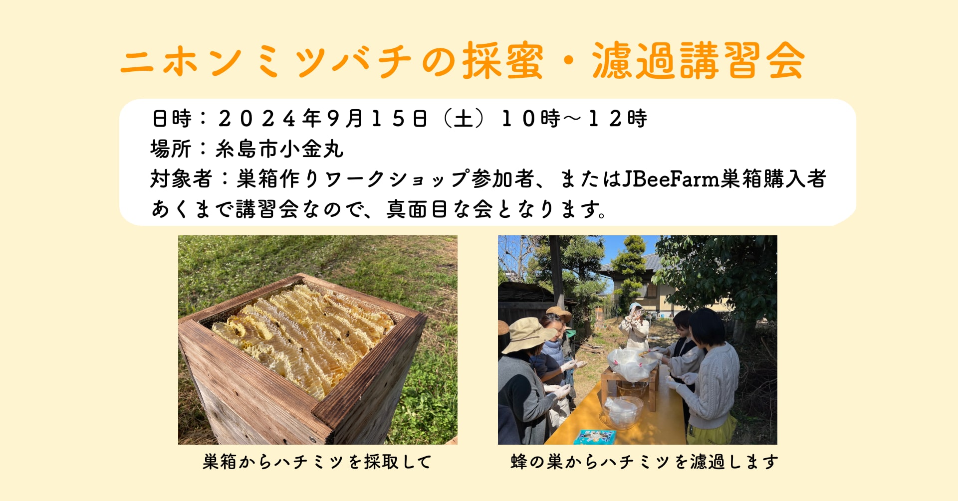 ニホンミツバチの採蜜・沪過講習会　 糸島　２０２４年９月１５日（日）開催