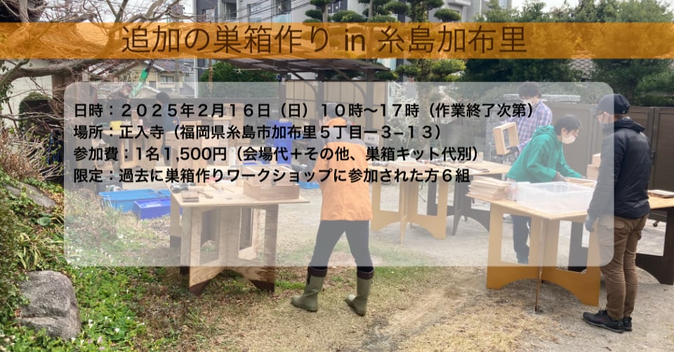 ニホンミツバチの巣箱作り　in 糸島加布里　２０２５年２月１６日（日）開催